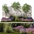 Lavender Mountain Bliss Set 3D model small image 1