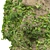 Vibrant Ivy-Covered Rock 3D Model 3D model small image 2