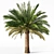 Variety Sago Palm Tree Collection 3D model small image 4