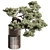 Mini Bonsai Potted Plant 3D model small image 2