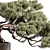 Mini Bonsai Potted Plant 3D model small image 3