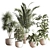 Elegant Indoor Plant Decor Set 3D model small image 1