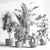 Elegant Indoor Plant Decor Set 3D model small image 7