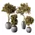 Modern Greenery Decor Accent Piece 3D model small image 1