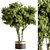 Indoor Tree in Pot Display 3D model small image 1