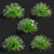 Compact Decorative Ornamental Grasses 3D model small image 2