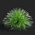 Compact Decorative Ornamental Grasses 3D model small image 4