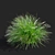 Compact Decorative Ornamental Grasses 3D model small image 5