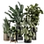 Modern Indoor Plants Set 1740 3D model small image 1
