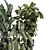 Modern Indoor Plants Set 1740 3D model small image 4