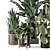Modern Indoor Plants Set 1740 3D model small image 5