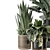 Modern Indoor Plants Set 1740 3D model small image 6