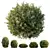 Dwarf Olive Topiary Hedge Bush 3D model small image 1