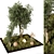 Outdoor Plant 249 3D Model 3D model small image 2