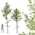 Alnus Glutinosa 3D Model Set 3D model small image 1