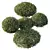 Dwarf Olive Topiary Shrub Model 3D model small image 2