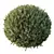 Dwarf Olive Topiary Shrub Model 3D model small image 4