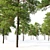 Scots Pine Tree Model 3D 3D model small image 3