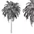 Tropical Palm Tree 3D Model 3D model small image 4