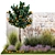 Citrus Garden Collection Set 3D model small image 2