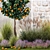 Citrus Garden Collection Set 3D model small image 5