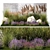 Lavender Garden Collection Set 3D model small image 1