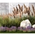 Landscape Plant Collection: Silverberry, Olive, Berberis, Thuja, Hydrangea 3D model small image 2