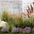 Landscape Plant Collection: Silverberry, Olive, Berberis, Thuja, Hydrangea 3D model small image 5