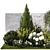 Landscape Plant Collection: Silverberry, Olive, Berberis, Thuja, Hydrangea 3D model small image 9