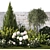 Landscape Plant Collection: Silverberry, Olive, Berberis, Thuja, Hydrangea 3D model small image 10