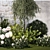 Landscape Plant Collection: Silverberry, Olive, Berberis, Thuja, Hydrangea 3D model small image 12