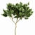 Exotic Tree Models Collection 3D model small image 4