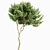 Exotic Tree Models Collection 3D model small image 5