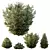 Dwarf Olive Bush 3D Models 3D model small image 1