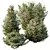 Dwarf Olive Bush 3D Models 3D model small image 4