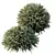 Dwarf Olive Topiary HQ Model 3D model small image 2