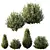 Dwarf Olive Bush 3D Model 3D model small image 1