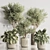 Modern Indoor Plant Set 121 3D model small image 1