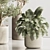 Modern Indoor Plant Set 121 3D model small image 4