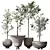 Dwarf Olive Tree Set - 3D 3D model small image 1