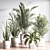 Modern Indoor Plant Set 3D 3D model small image 3