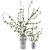 Elegant Floral Branch Bouquet Display 3D model small image 1