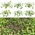  Diverse 3D Plant Models Collection 3D model small image 1