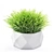 Vray Render Outdoor Plant 3D 3D model small image 15