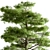 Sequoia Camphor Tree Collection 3D model small image 3