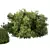 Versatile Bush Set for 3D 3D model small image 3