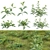 Versatile 3D Plant Modeling Collection 3D model small image 1