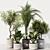 Modern Indoor Plant Set 2016 3D model small image 1