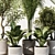 Modern Indoor Plant Set 2016 3D model small image 2