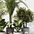 Modern Indoor Plant Set 2016 3D model small image 4